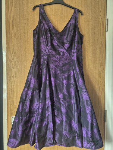 Phase eight purple - phase, azalea